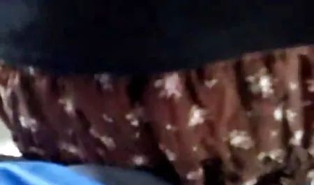 학생이 교수,박사는 seks realno 리 돌아