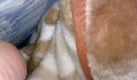 도나텔 놀이기구는 진짜 우크라이나어 포르노 온라인에서 좋은 품질 하드 딕 프로처럼