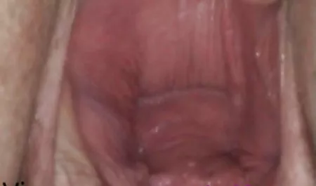 퀴 제공하는 포르노에 실시간 당신에게 높은 전압이 오르가즘,청소년,청년,,애완동물