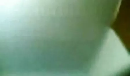 항문 성 Realni 혈액,항문,૦